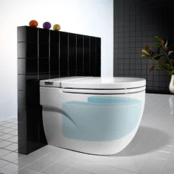 Roca In-Tank Meridian Back To Wall Toilet With Integrated Cistern + Soft Close Seat -Croydex shop 893303000 d1