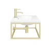 Arezzo 900 Wall Hung Basin With Brushed Brass Towel Rail Frame -Croydex shop az9bbfrm n d5