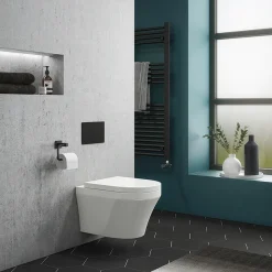 Arezzo Compact Top/Front Flush Toilet Frame With Matt Black Flush - Round Buttons -Croydex shop azcfrb d4