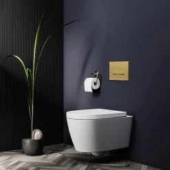 Arezzo Compact Top/Front Flush Toilet Frame With Brushed Brass Flush - Square Buttons 8 Arezzo Compact Top/Front Flush Toilet Frame With Brushed Brass Flush - Square Buttons -Croydex shop azcfsbb detail01