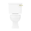 Arezzo Traditional Toilet With Brushed Brass Lever -Croydex shop aztccbb detail3