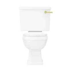 Arezzo Traditional Toilet With Brushed Brass Lever