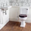 Urlington Bathroom Burlington Regal Slimline Close Coupled Traditional Toilet - Button Flush -Croydex shop burlingtonregalslimlineclosecoupledtraditionaltoiletbuttonflushd1