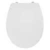 Armitage Shanks Sandringham 21 Close Coupled Toilet + Standard Seat 2 Armitage Shanks Sandringham 21 Close Coupled Toilet + Standard Seat -Croydex shop e131601 d2