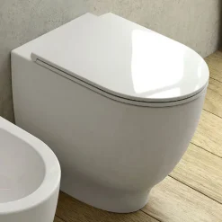 RAK Ceramic RAK Harmony Back To Wall Pan + Soft Close Urea Seat