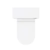 Nui Harmony Gloss White BTW WC Unit With Cistern + Soft Close Seat W500 X D200mm -Croydex shop harbtwsc d4