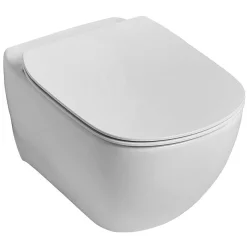 Ideal Standard Tesi AquaBlade Toilet + Concealed WC Cistern With Wall Hung Frame 10 Ideal Standard Tesi AquaBlade Toilet + Concealed WC Cistern With Wall Hung Frame -Croydex shop istatb d4 1