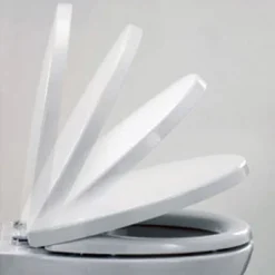 RAK Ceramic RAK - Tonique Back To Wall Pan With Soft-close Seat