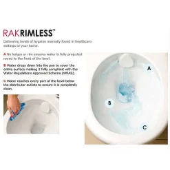 RAK Ceramic RAK Resort Comfort Height Back To Wall Rimless Pan + Quick Release Soft Close Urea Seat -Croydex shop rstbtwpansc d1 4